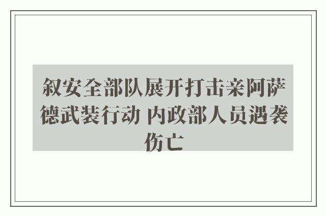 叙安全部队展开打击亲阿萨德武装行动 内政部人员遇袭伤亡